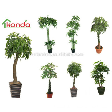 Artificial plants and trees,Artificial Dracaena Fragrans,artificial ornamental plants for indoors